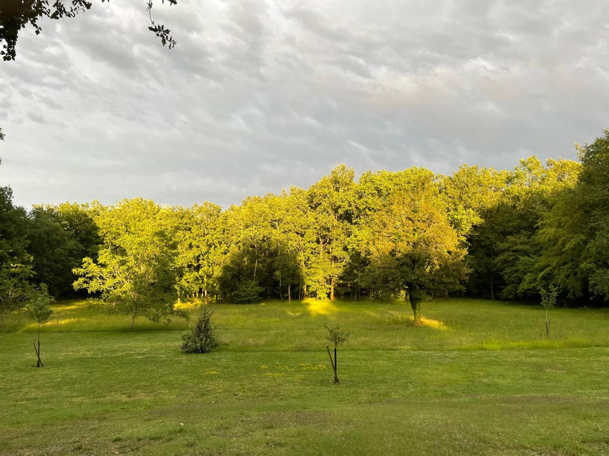 ChapdeuilLa Croix Des Granges住宿加早餐旅馆 外观 照片